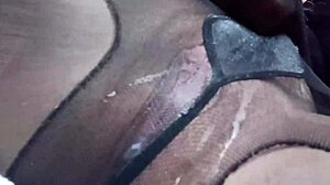 POV video: Rjavolaska bomba dominira s kunilingusom in ponižanjem