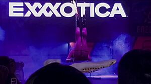 Anastasia Dior festeggia il 15° anniversario di Exxxotica a Edison, NJ