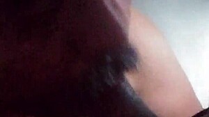 Blowjob pada penis transgender hitam besar