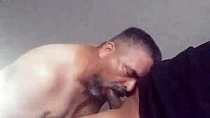 Blowjob pada penis transgender hitam besar